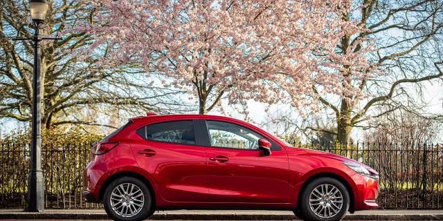 Eropuit in het voorjaar | Mazda Must Drive